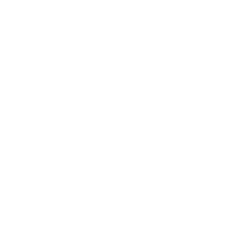 Lion Brewery Co